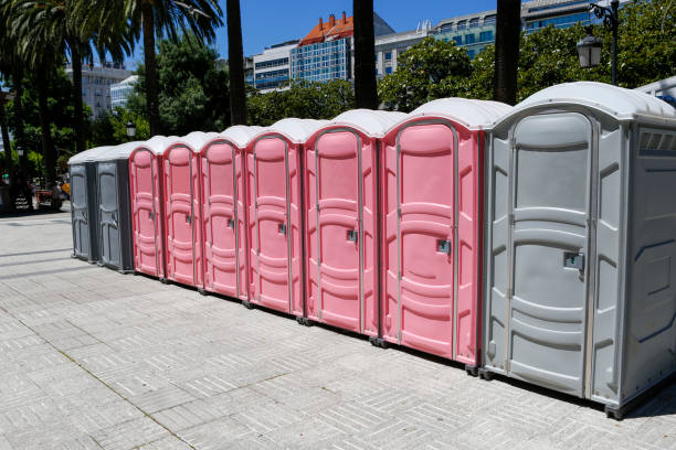Best Portable Toilets with Baby Changing Stations  in Pinch, WV